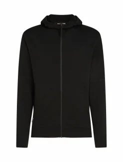 Bluza Icebreaker Merino 360 RealFleece™ Elemental LS Zip Hoodie Men