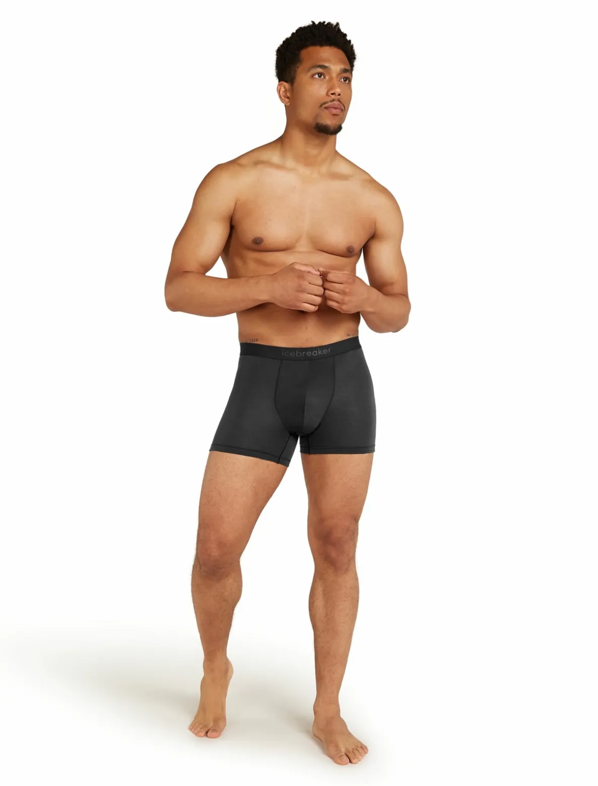 Bokserki Icebreaker Merino 150 Anatomica Boxers Men