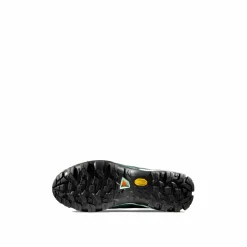 Buty Mammut Ducan II Low GTX Men