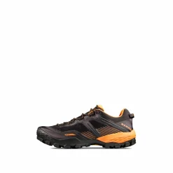 Buty Mammut Ducan II Low GTX Men