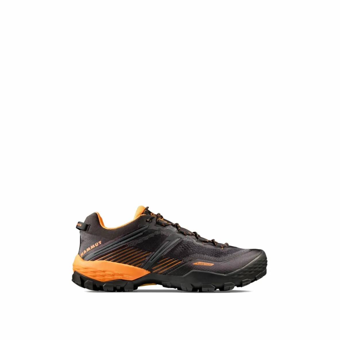 Buty Mammut Ducan II Low GTX Men