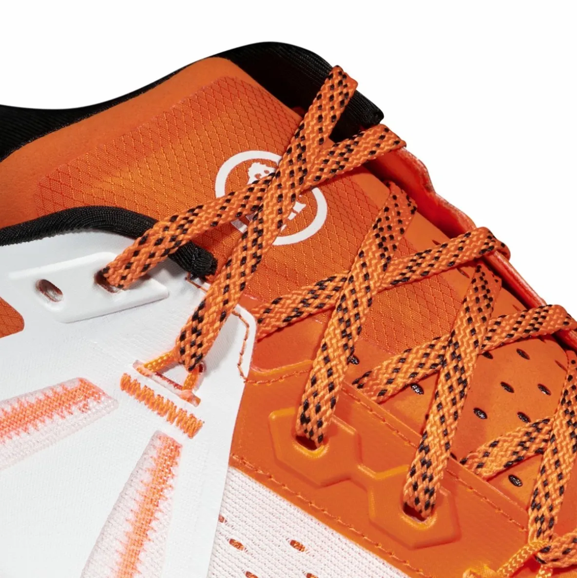 Buty Mammut Saentis TR Low Men