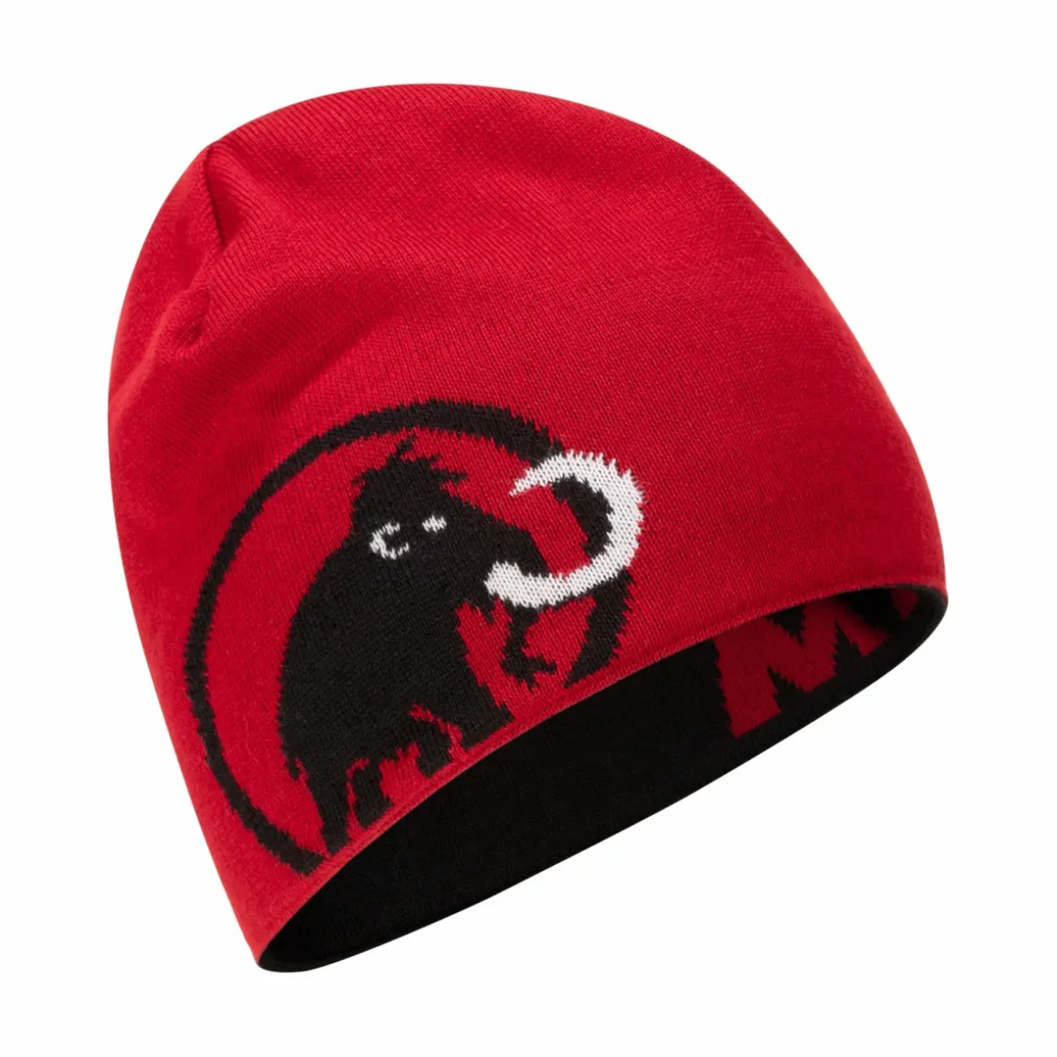 Czapka Mammut Logo Beanie