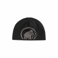 Czapka Mammut Logo Beanie