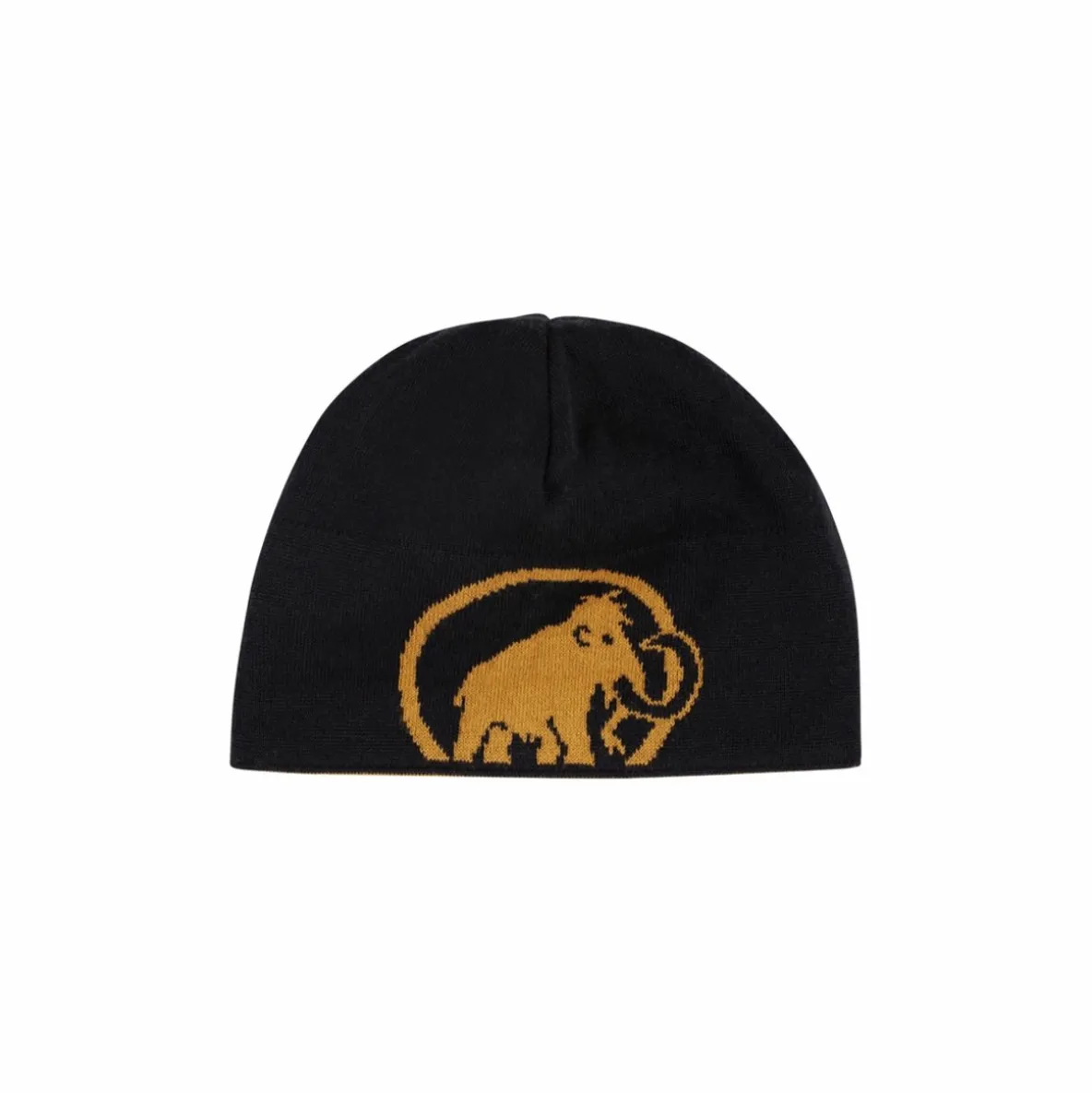 Czapka Mammut Logo Beanie