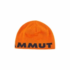 Czapka Mammut Logo Beanie