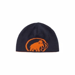 Czapka Mammut Logo Beanie