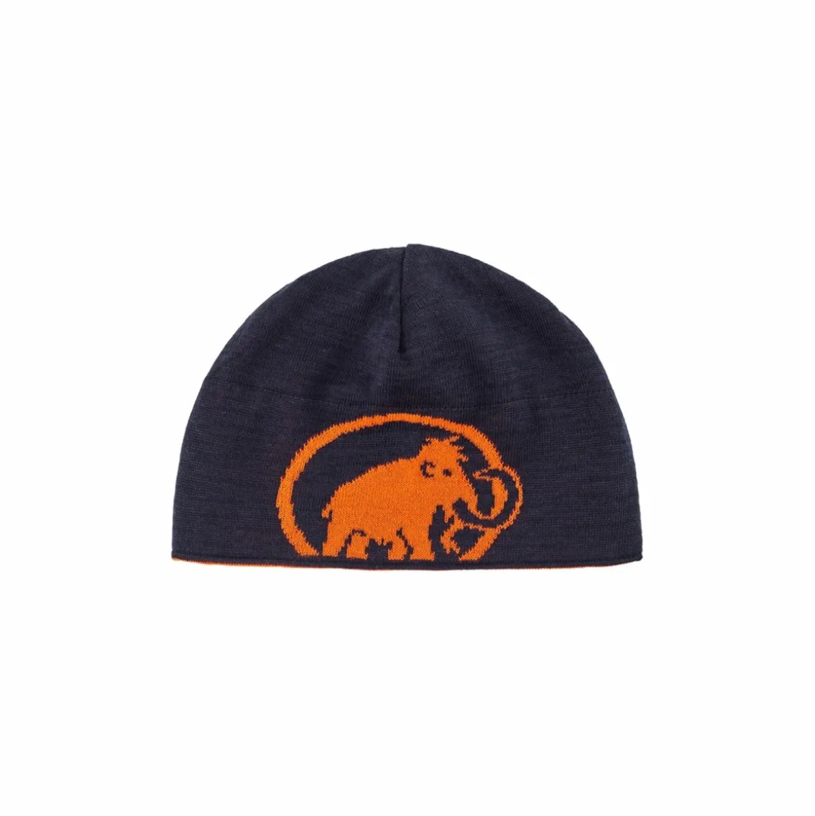 Czapka Mammut Logo Beanie