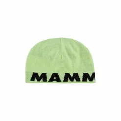 Czapka Mammut Logo Beanie
