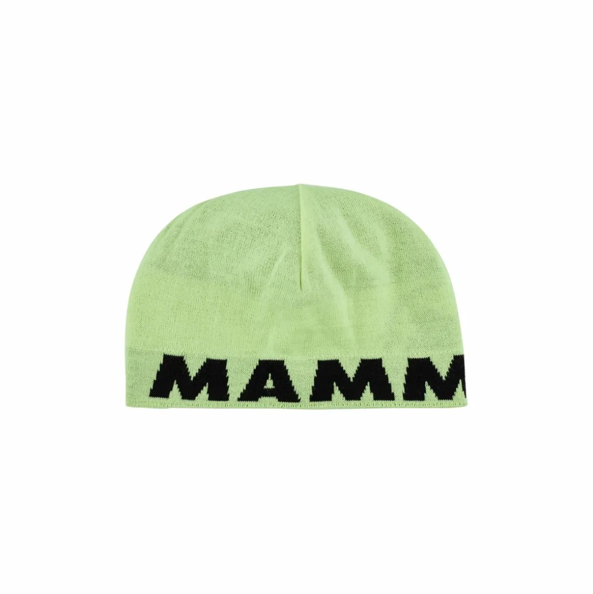Czapka Mammut Logo Beanie