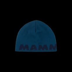 Czapka Mammut Logo Beanie