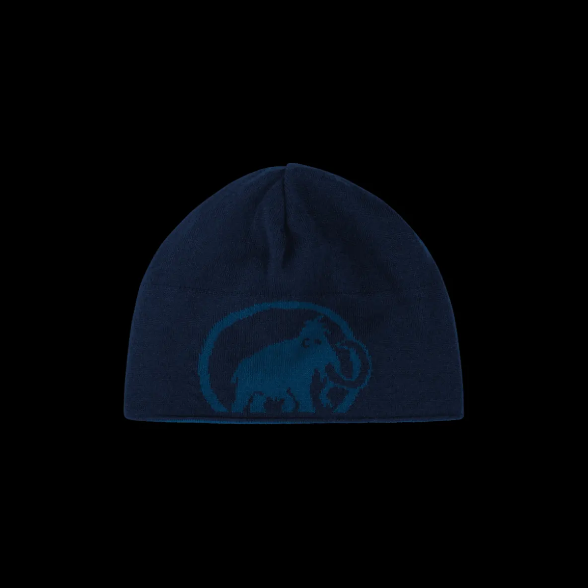 Czapka Mammut Logo Beanie