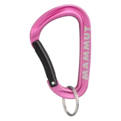 Karabinek Mammut Mini Carabiner Workhorse Keylock L