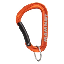 Karabinek Mammut Mini Carabiner Workhorse Keylock L