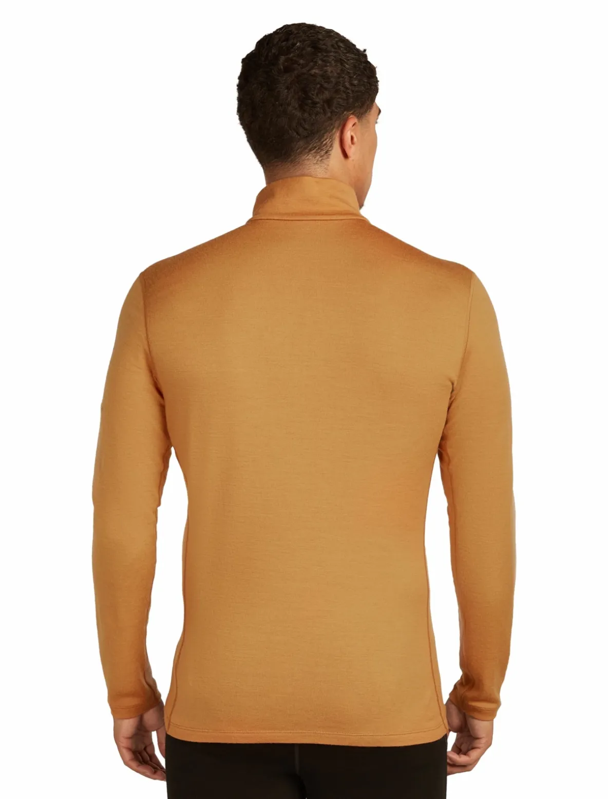 Koszulka Icebreaker Merino 260 Tech Longsleeve Half Zip Thermal Top Men