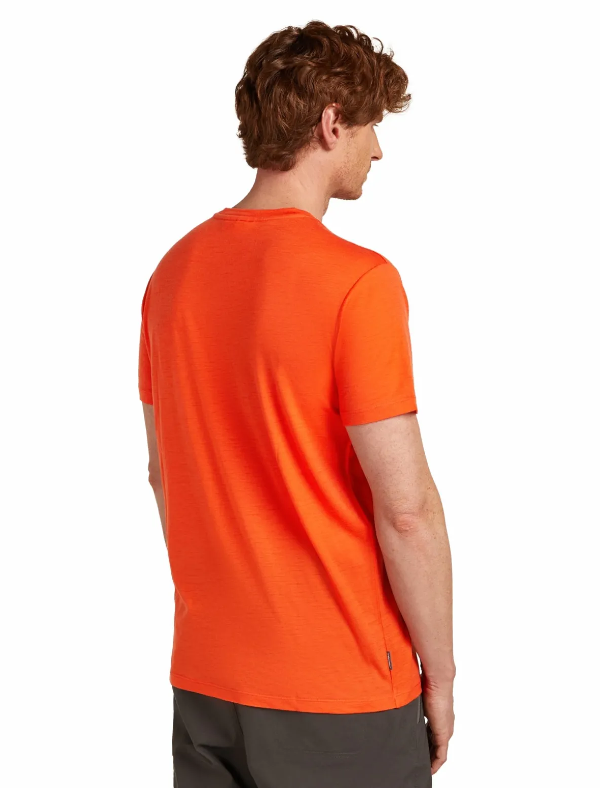 Koszulka Icebreaker Merino Tech Lite SS Tee Bear Tour Men