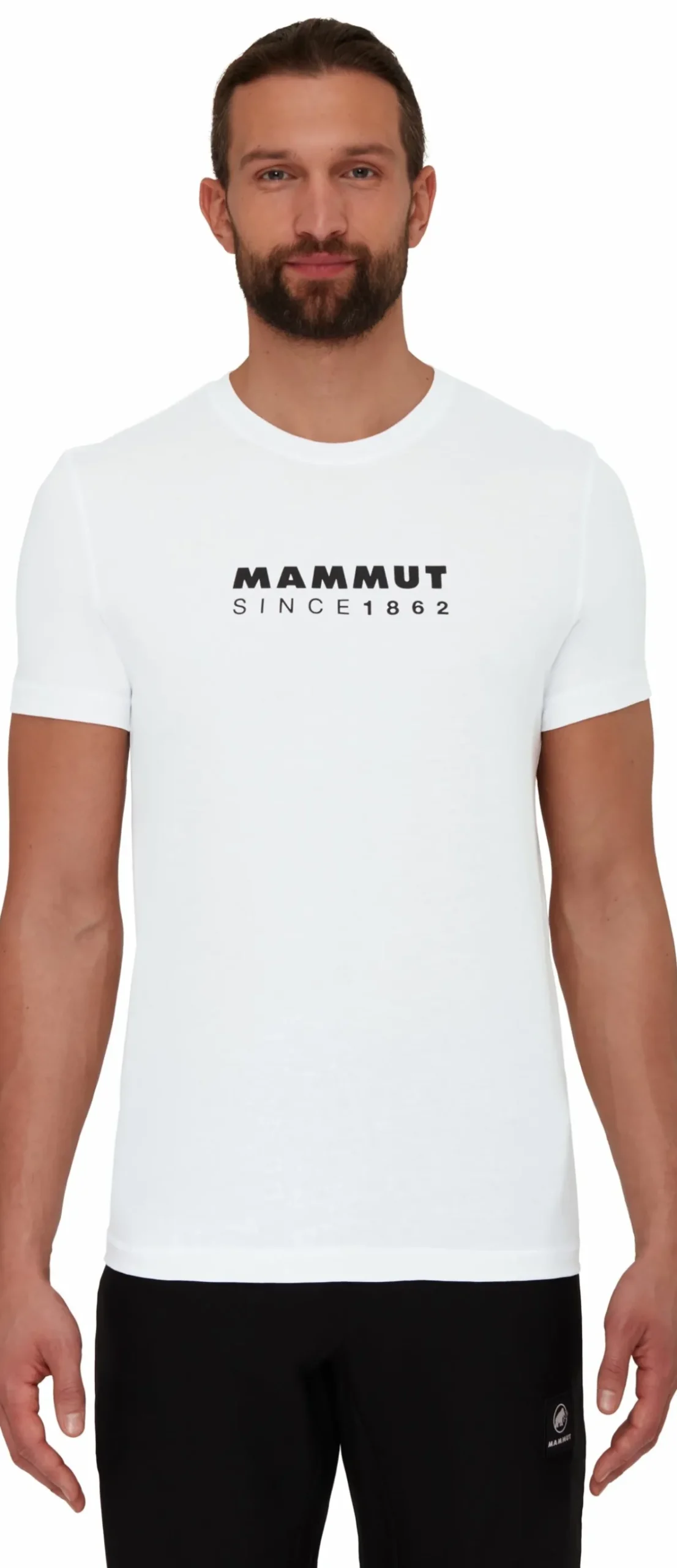 Koszulka Mammut Core T-Shirt Men Logo