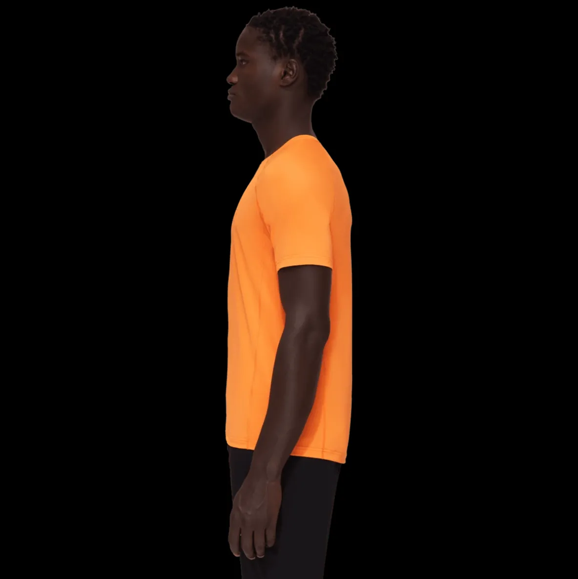 Koszulka Mammut Selun FL T-Shirt Men Logo