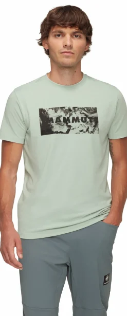 Koszulka Mammut Trovat T-Shirt Men Logo