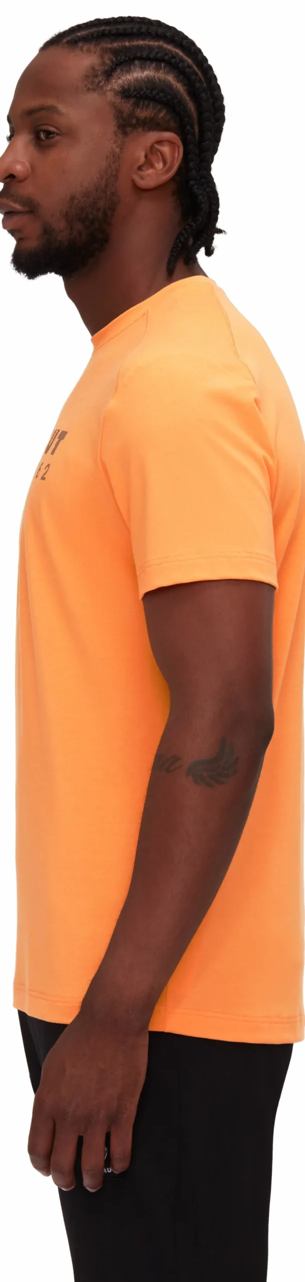 Koszulka Mammut Trovat T-Shirt Men Logo