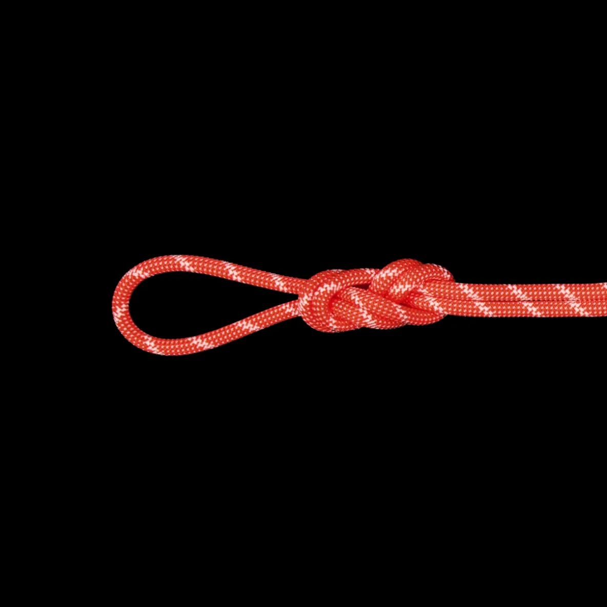 Lina dynamiczna Mammut 8.0 Alpine Classic Rope