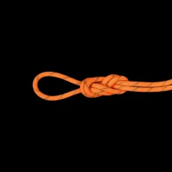 Lina dynamiczna Mammut 8.0 Alpine Dry Rope