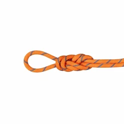 Lina dynamiczna Mammut 9.0 Alpine Sender Dry Rope 50 m