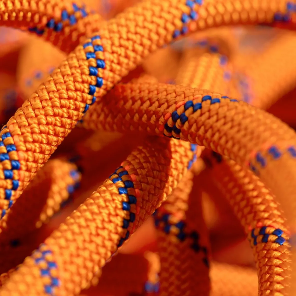 Lina dynamiczna Mammut 9.0 Alpine Sender Dry Rope 50 m