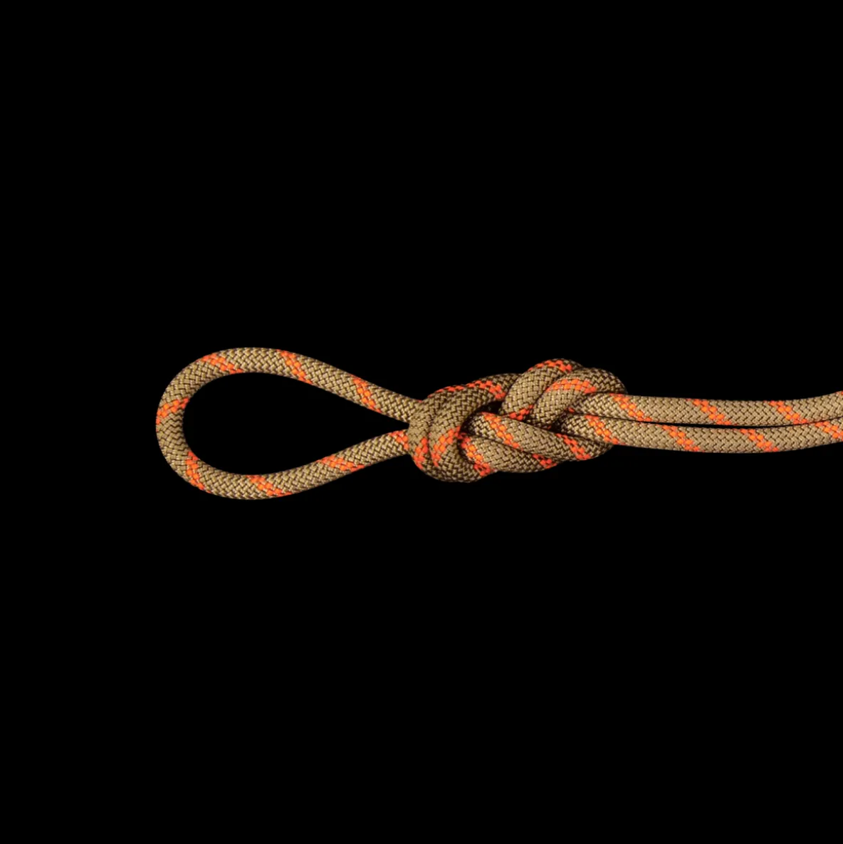 Lina dynamiczna Mammut 8.0 Alpine Dry Rope