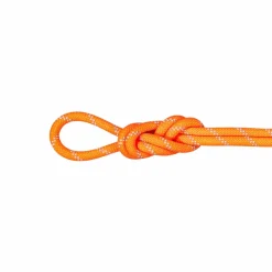 Lina dynamiczna Mammut 9.5 Alpine Dry Rope 70 m