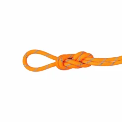 Lina dynamiczna Mammut 8.7 Alpine Sender Dry Rope 60 m