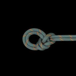Lina dynamiczna Mammut 9.9 Crag Workhorse Dry Rope