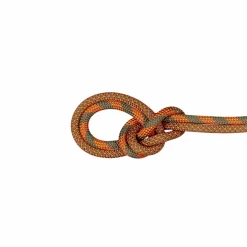 Lina dynamiczna Mammut 9.5 Crag Dry Rope