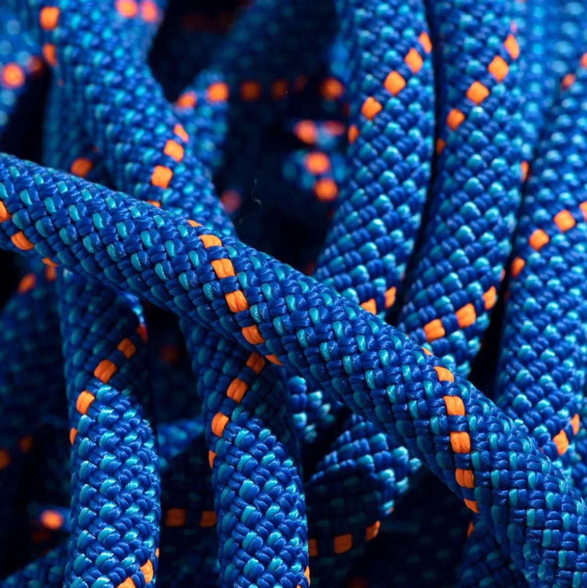 Lina dynamiczna Mammut 9.5 Crag Dry Rope 50 m